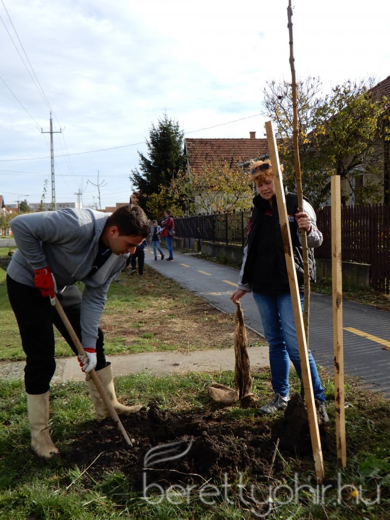 Közösségi faültetés Berettyóújfaluban 37